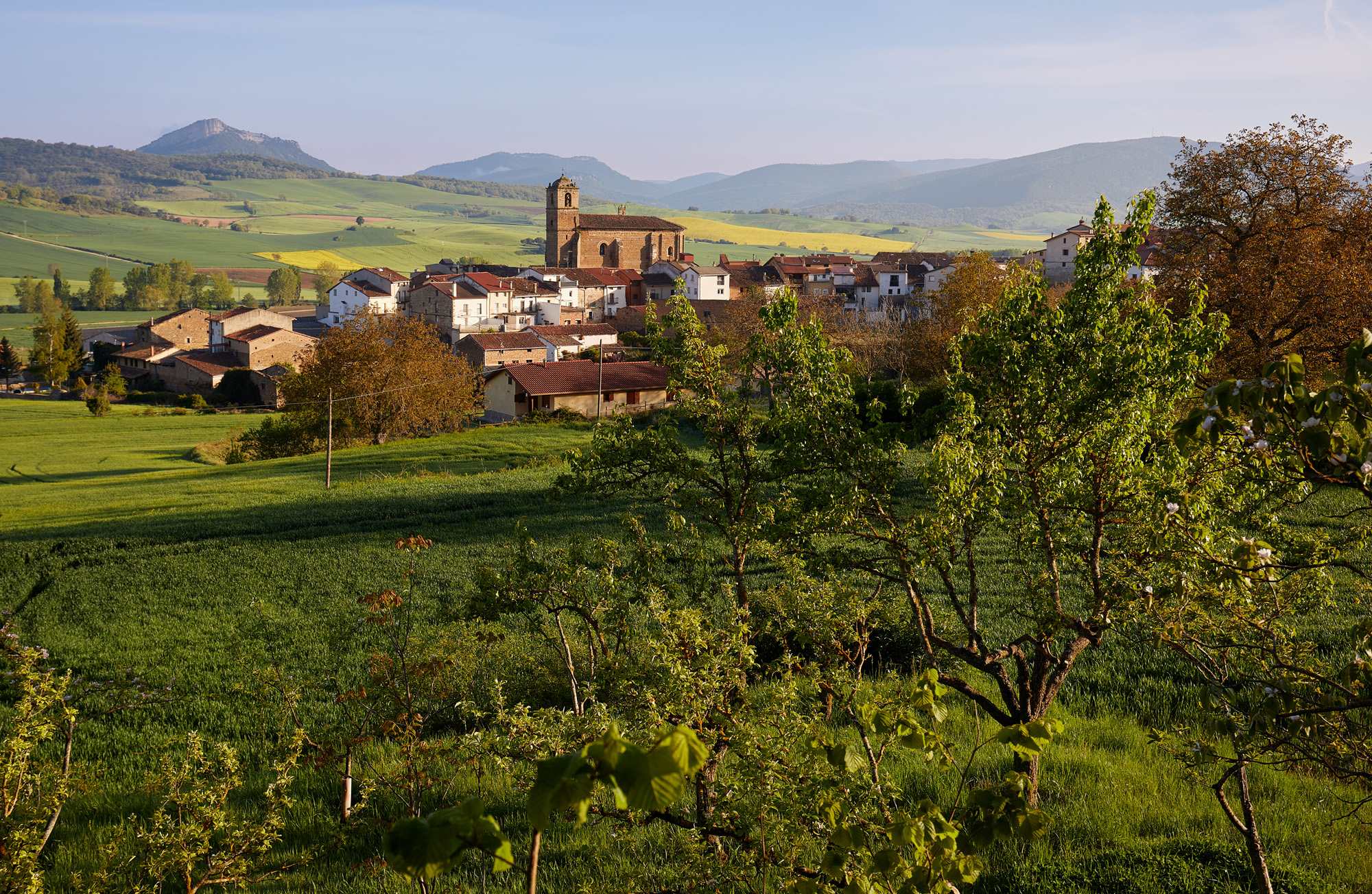 vista de Genevilla